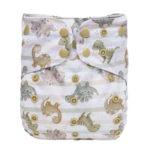 The "Grande" Pocket Diaper - Spring Fling Collection