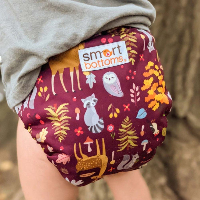 Smart Bottoms Dream Diaper 2.0 - Ever After*