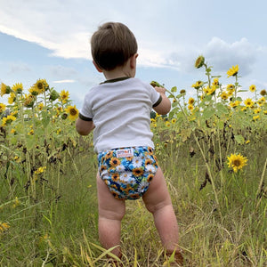 Smart Bottoms Dream Diaper 2.0 - Hello, Sunshine*