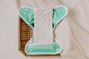 Dino Diapers Green Velvet Newborn Reusable Cloth Diaper Cover*