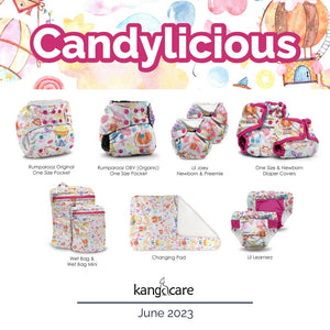 Rumparooz OBV One Size Pocket Cloth Diaper - Candylicious *