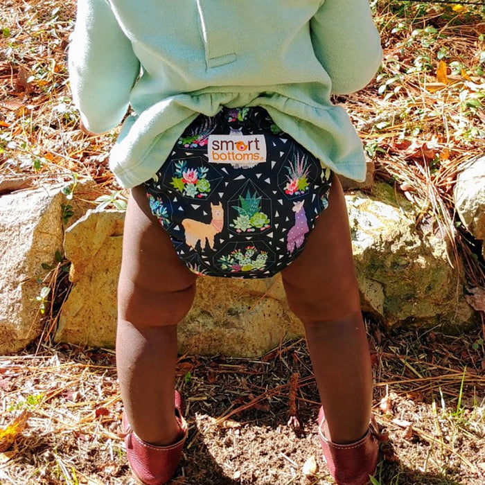 Smart Bottoms Dream Diaper 2.0 - Tina*