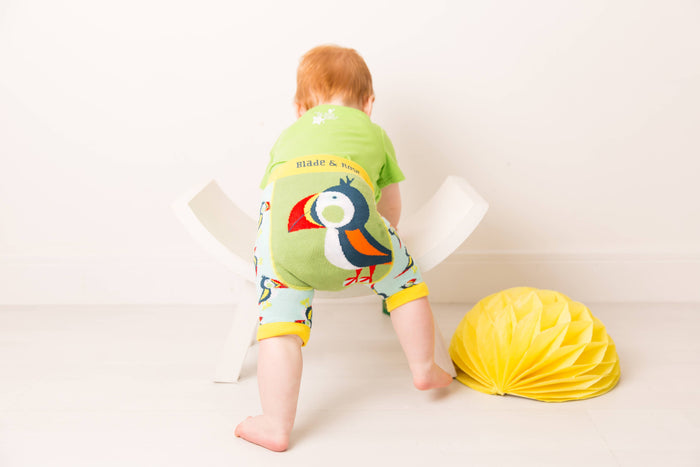 Blade and Rose Limited - Finley the Puffin Shorts